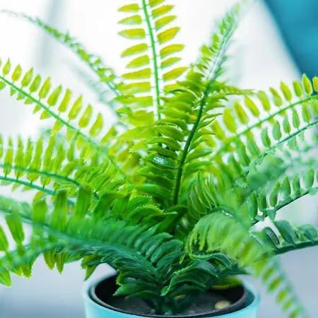 Helle Mit Balkon In Gruenen Innenhof - W-lan, 4 Schlafplaetze