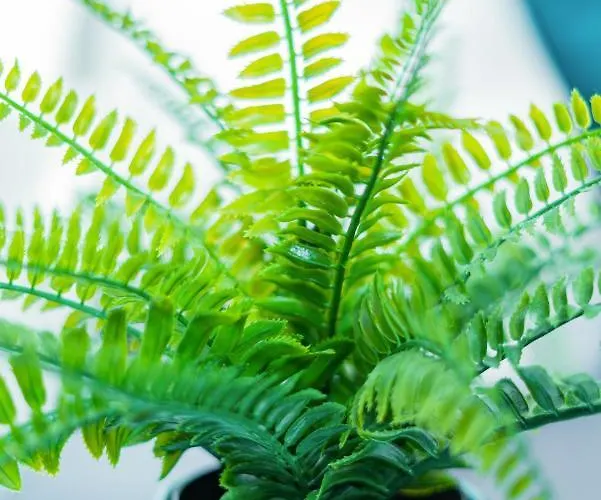 Helle Mit Balkon In Gruenen Innenhof - W-lan, 4 Schlafplaetze