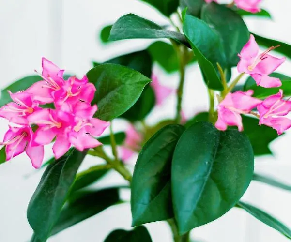 Helle Mit Balkon In Gruenen Innenhof - W-lan, 4 Schlafplaetze Magdeburg