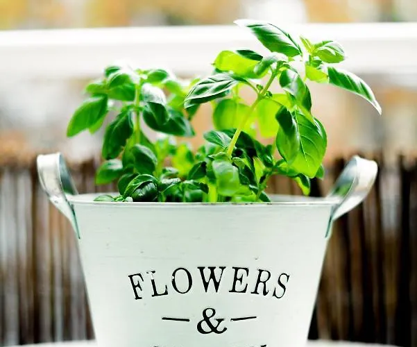 Lägenhet Helle Mit Balkon In Gruenen Innenhof - W-lan, 4 Schlafplaetze